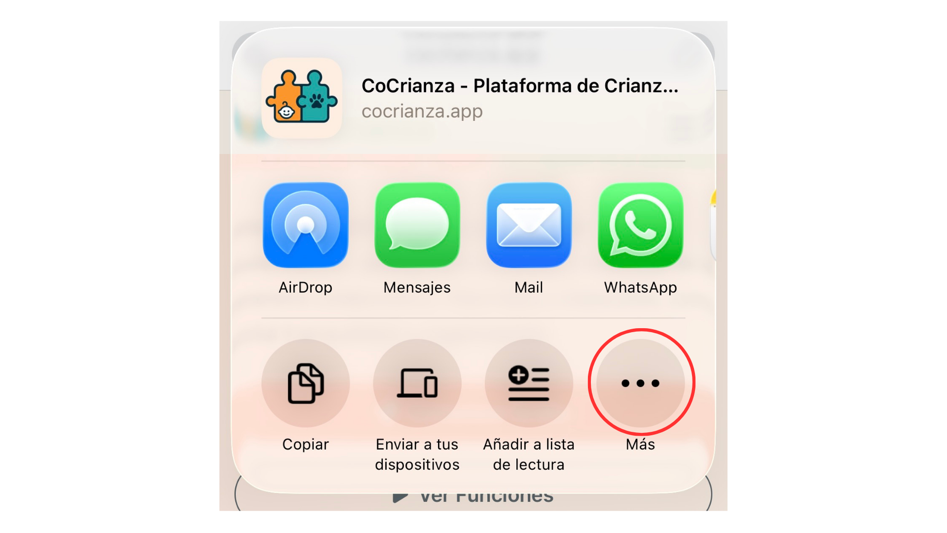 Paso 2 - Más opciones